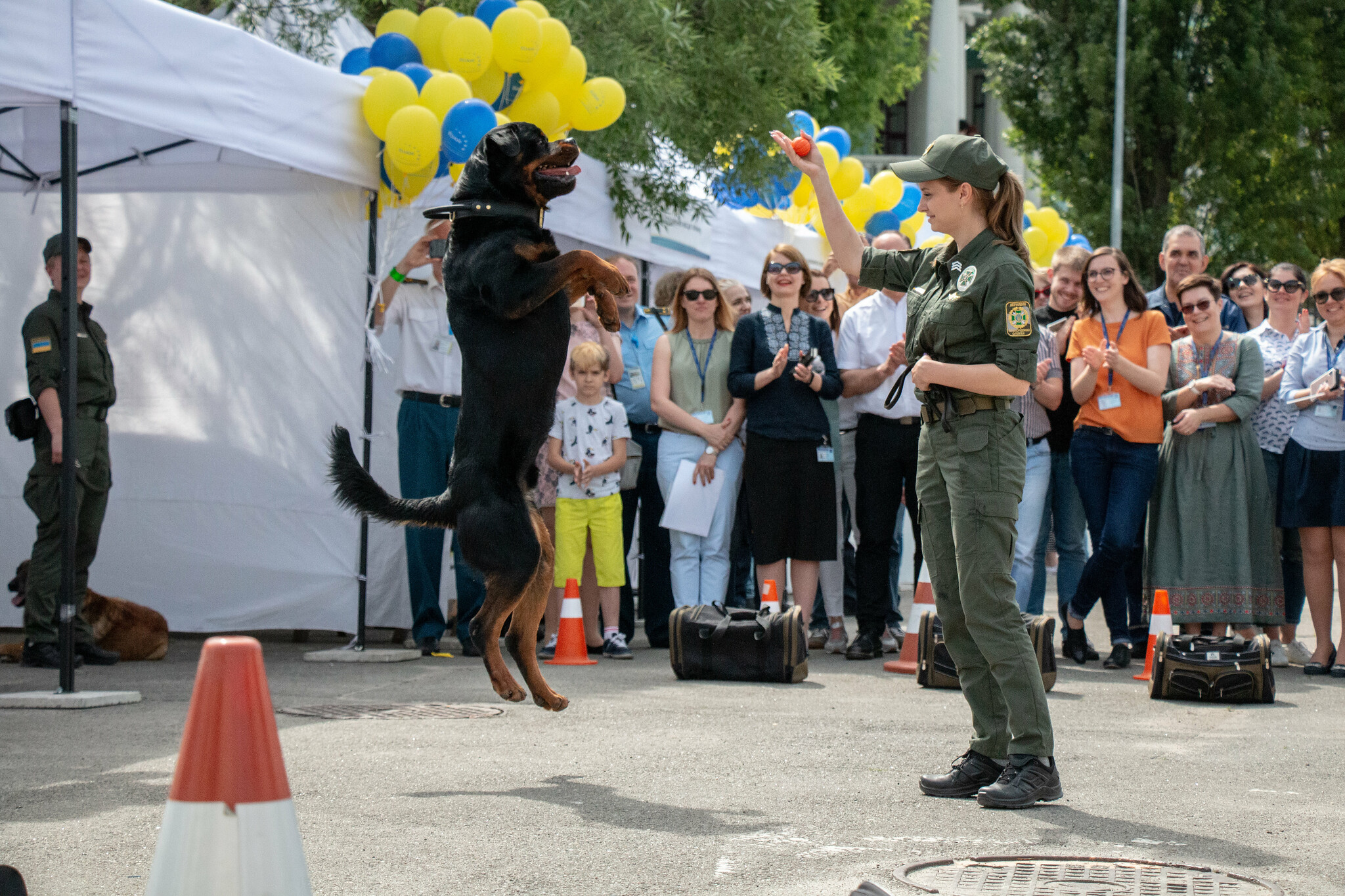 europe-day-celebration-at-euam-euam-ukraine