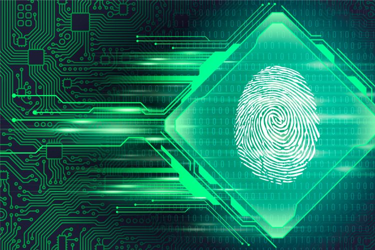 Explanation On Automated Fingerprints Identification System — Euam Ukraine 